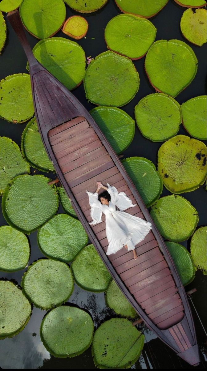 Travel around Sri Lanka — scenic Sri Lankan journey